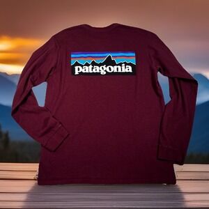 Patagonia Responsibili-Tee Long Sleeve Shirt Mens S Fitz Roy Bison Turquoise